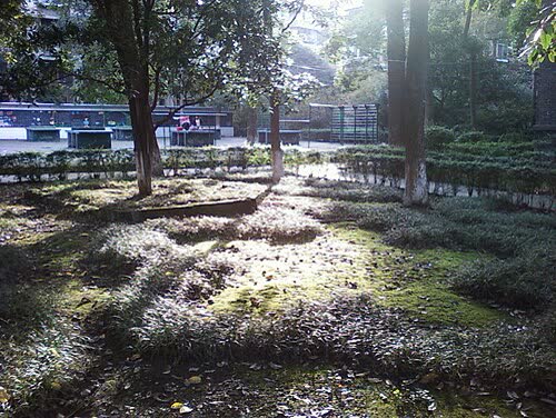 Hua Yuan